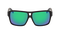 THE JAM H2O POLARIZED