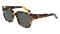 ROWAN POLARIZED